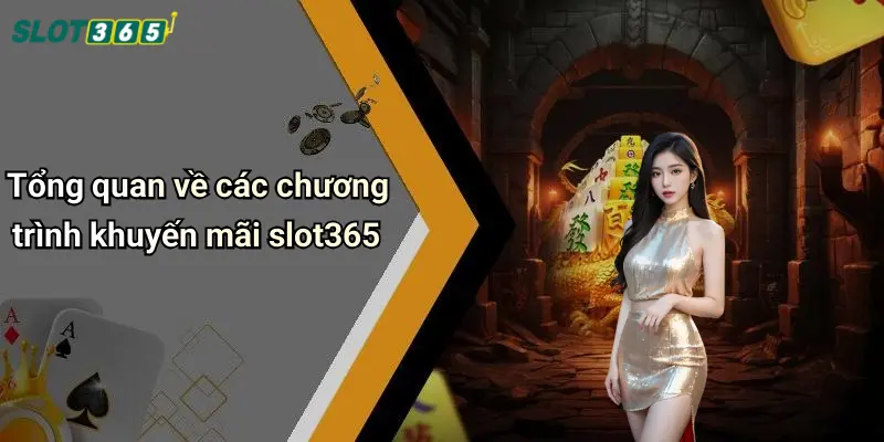 Tổng quan về các chương trình khuyến mãi slot365